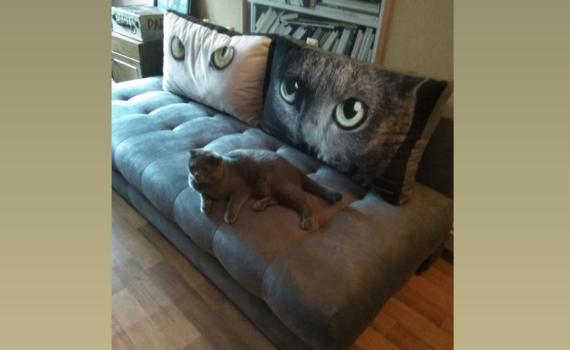 Как избавиться от храпа, чтобы наконец выспаться и изменить свой день? Шаги к новой жизни