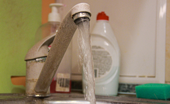 Тихий убийца фиалок — не вредители, а ваша лейка: как не залить комнатные цветы